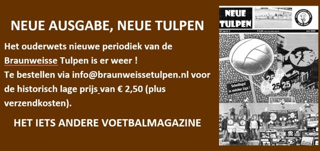 Neue Tulpen IMG